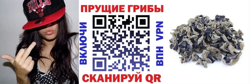 Псилоцибиновые грибы ЛСД  Купить закладки  Унеча 